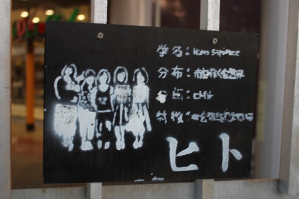 料理イメージ